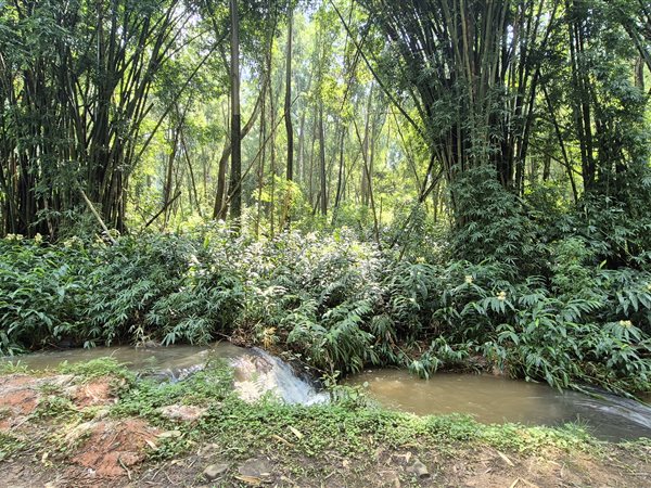 17.4 ha Land 17.4 ha Land