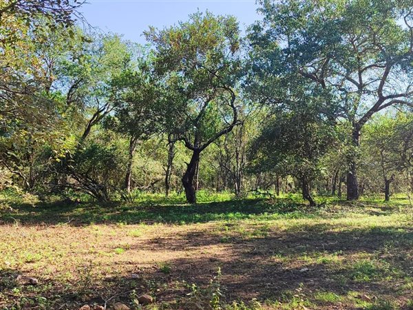 1530 m² Land available in Marloth Park