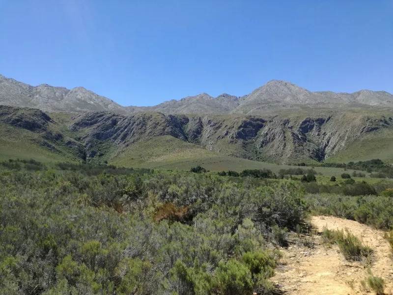 4.8 ha Land available in Oudtshoorn photo number 2