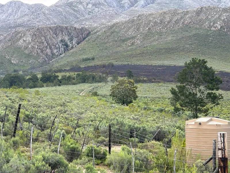4.8 ha Land available in Oudtshoorn photo number 3