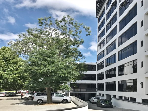 230 m² Office Space 230 m² Office Space