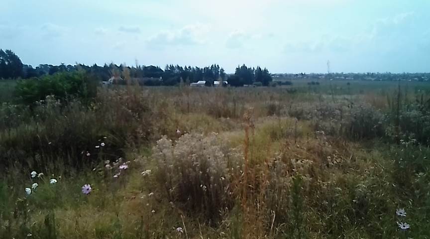 8 ha Land available in Krugersdorp Central photo number 4