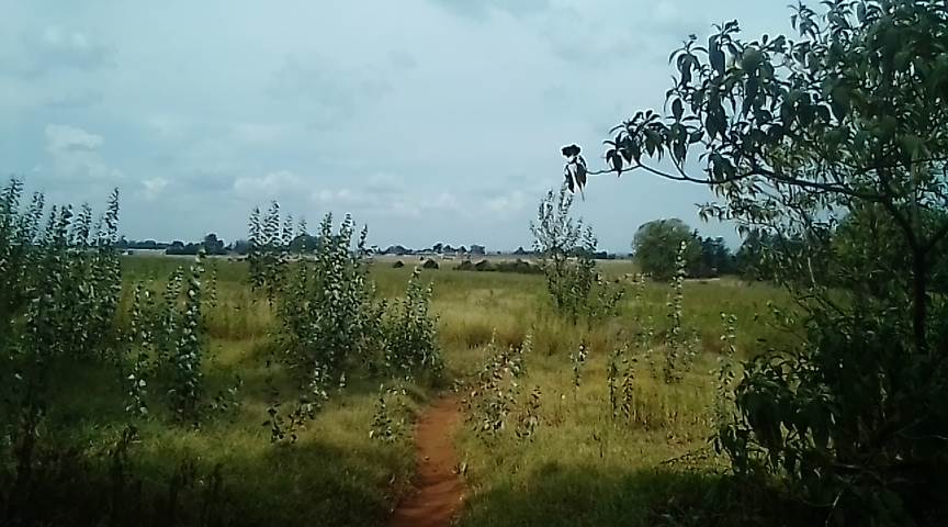 8 ha Land available in Krugersdorp Central photo number 7