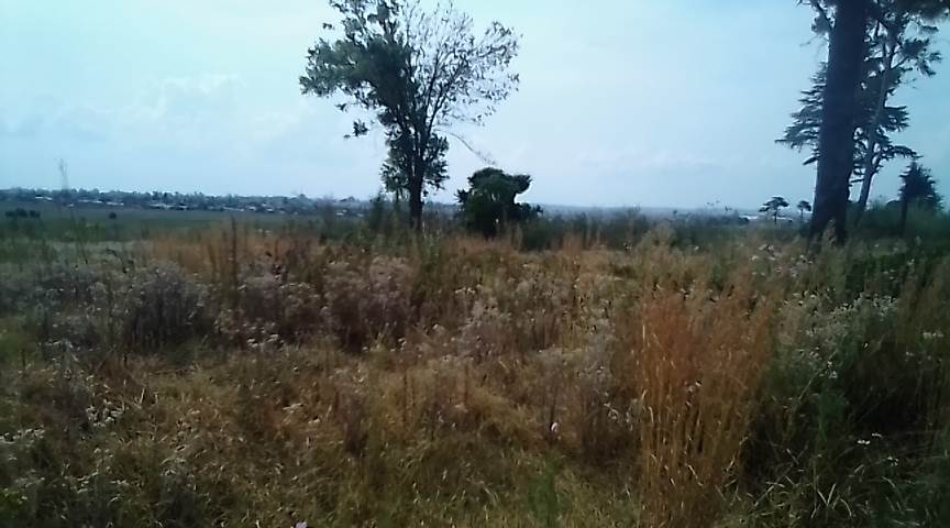 8 ha Land available in Krugersdorp Central photo number 3