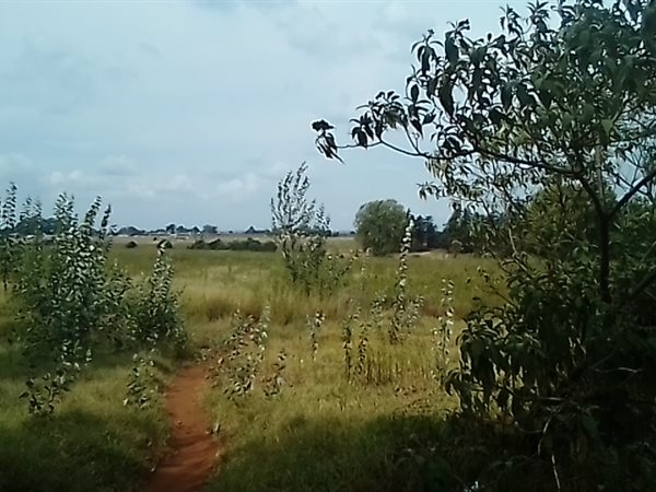 8 ha Land available in Krugersdorp Central