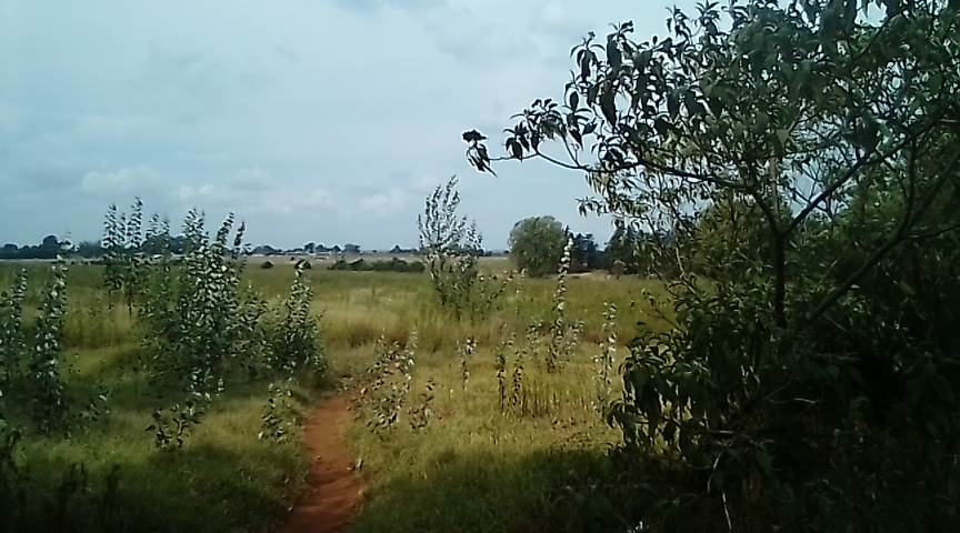 8 ha Land available in Krugersdorp Central photo number 1