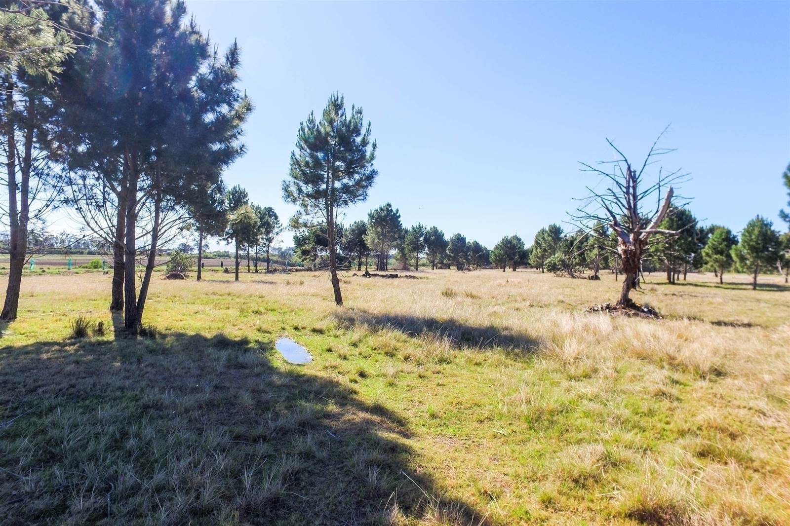3.5 ha Land available in Robberg photo number 4