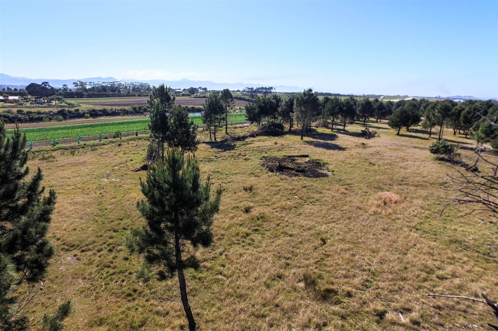 3.5 ha Land available in Robberg photo number 9