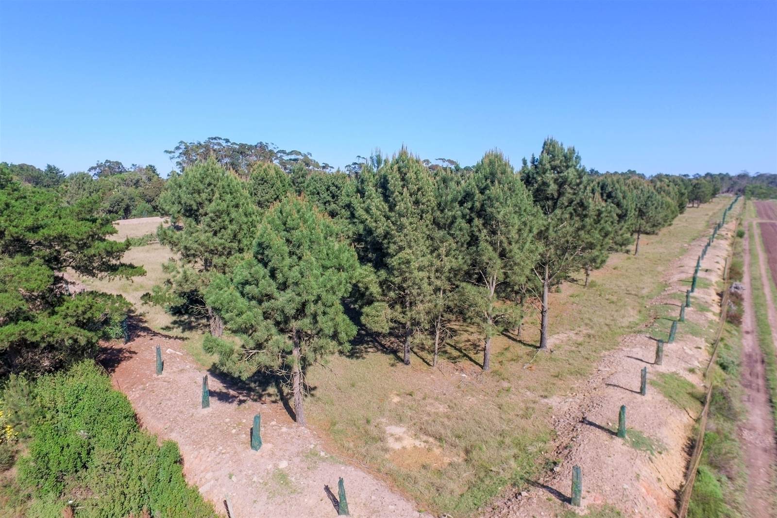 3.5 ha Land available in Robberg photo number 12