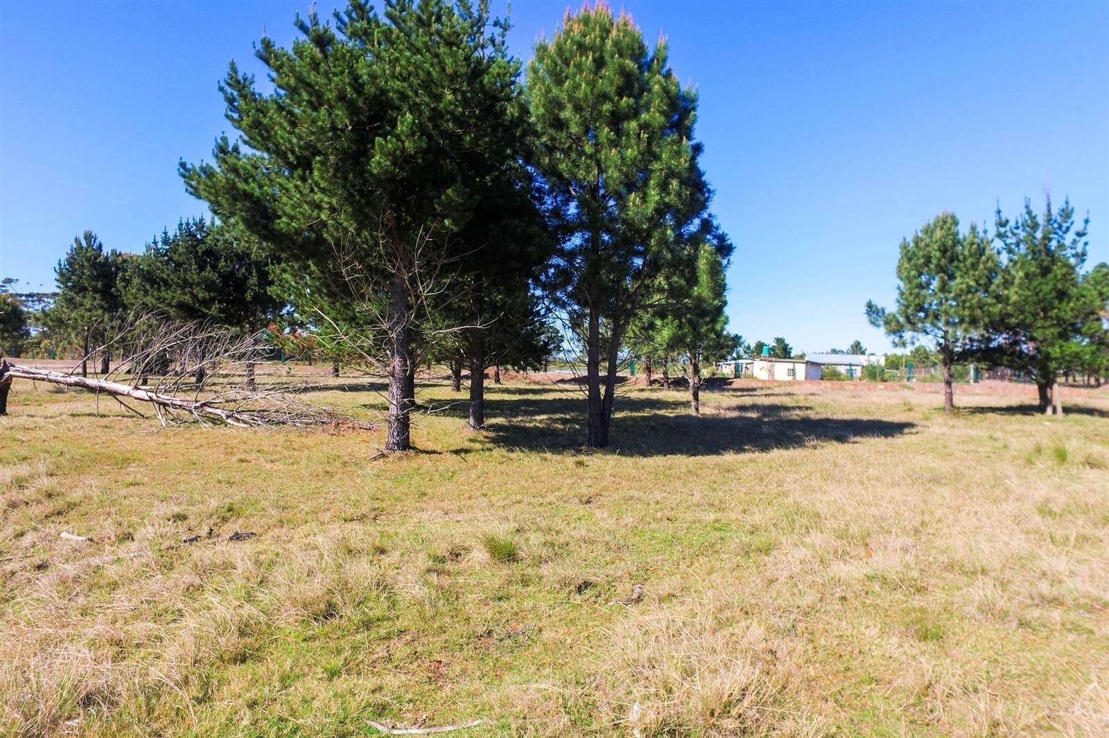 3.5 ha Land available in Robberg photo number 5