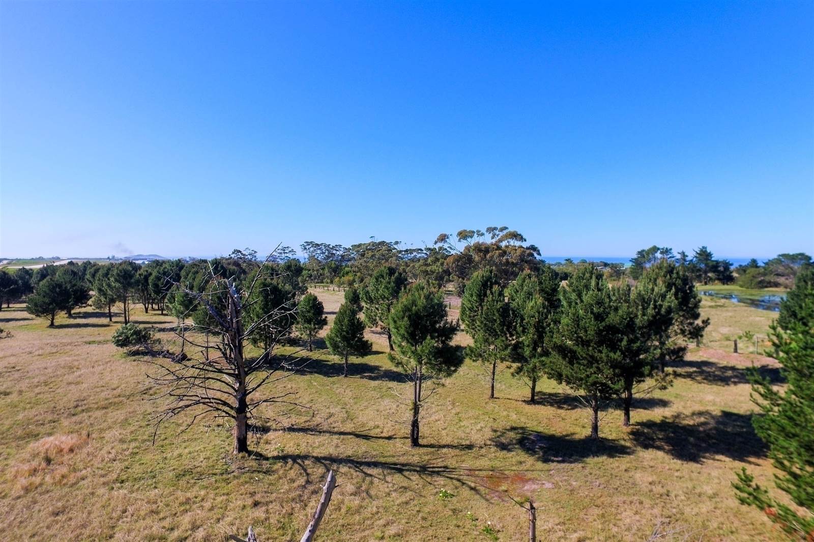 3.5 ha Land available in Robberg photo number 8