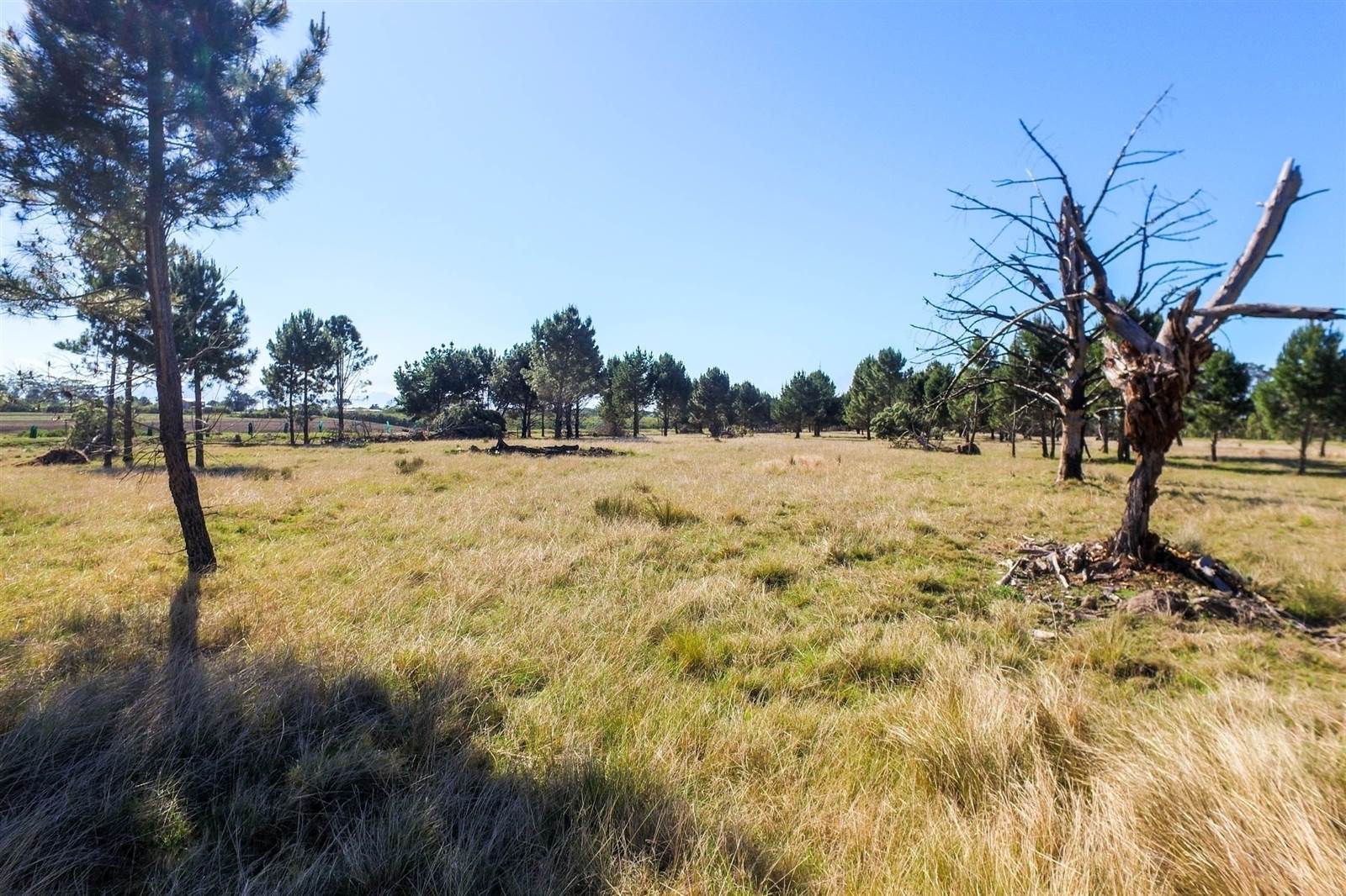 3.5 ha Land available in Robberg photo number 7