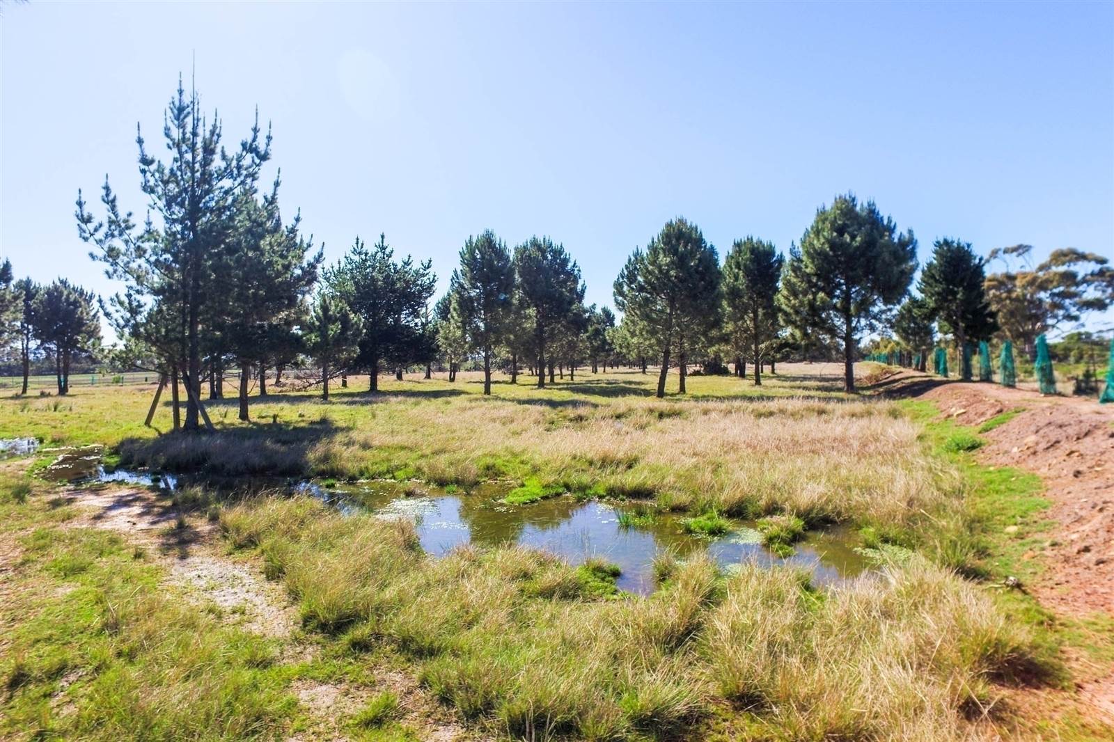 3.5 ha Land available in Robberg photo number 11