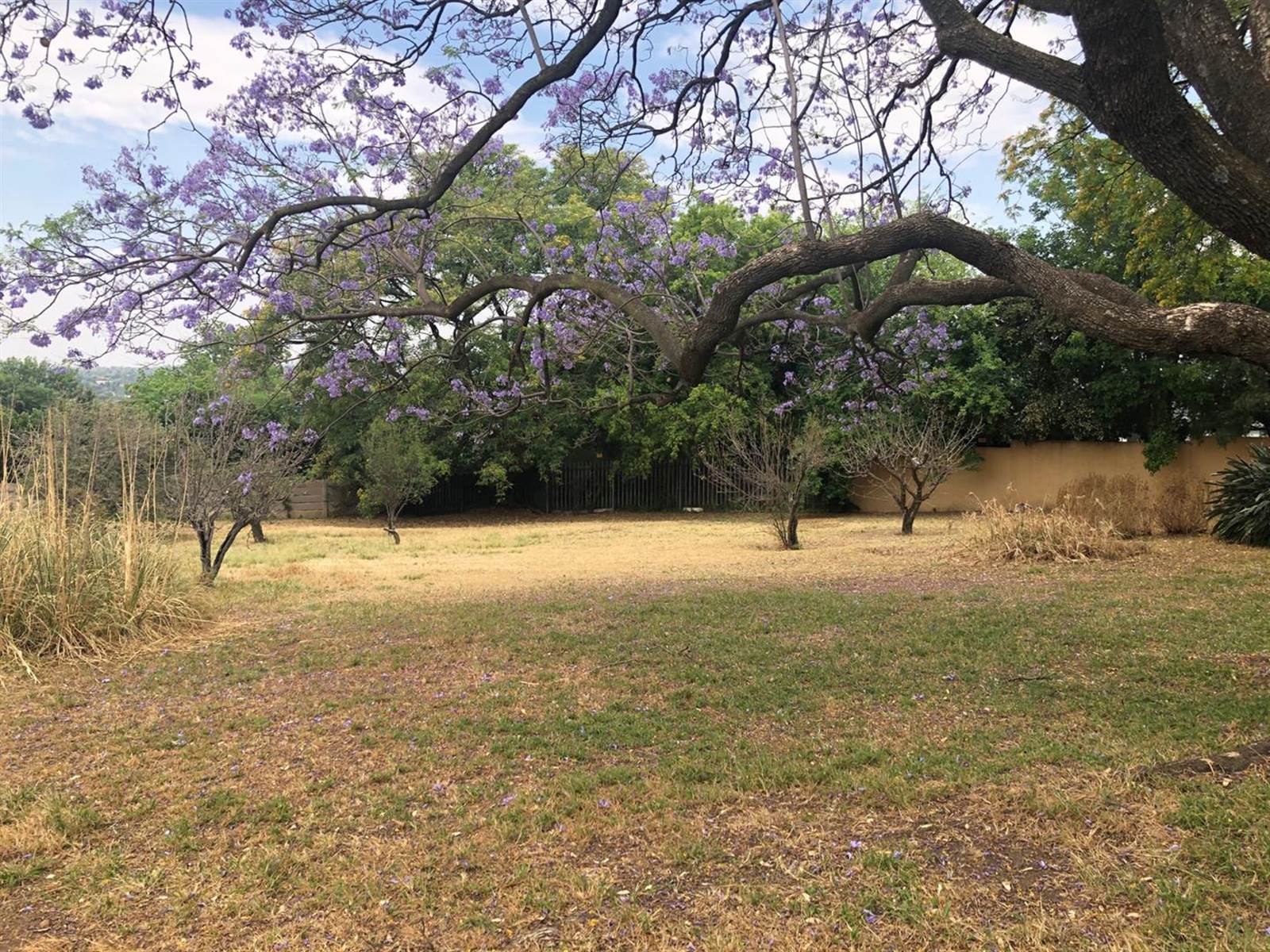 1520 m² Land available in Bryanston photo number 6