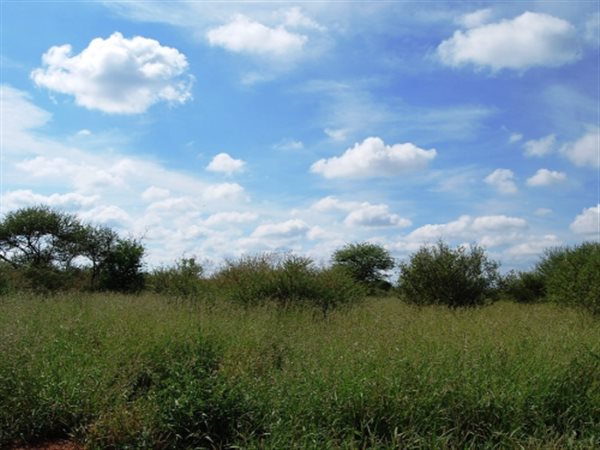 11 ha Land available in Thabazimbi