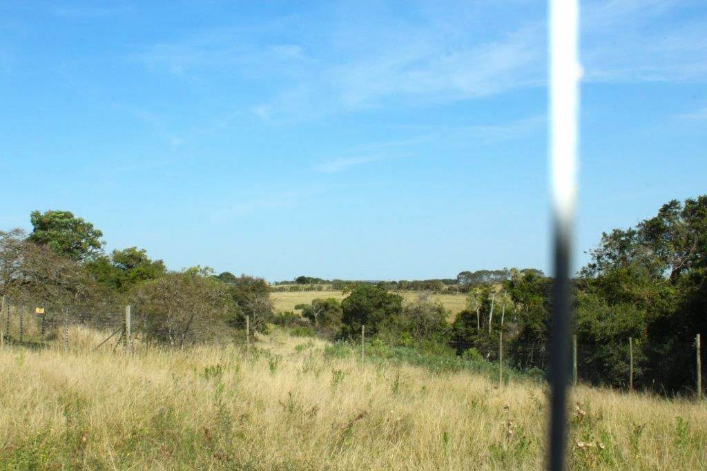 1419 m² Land available in Bathurst and Surrounds photo number 2