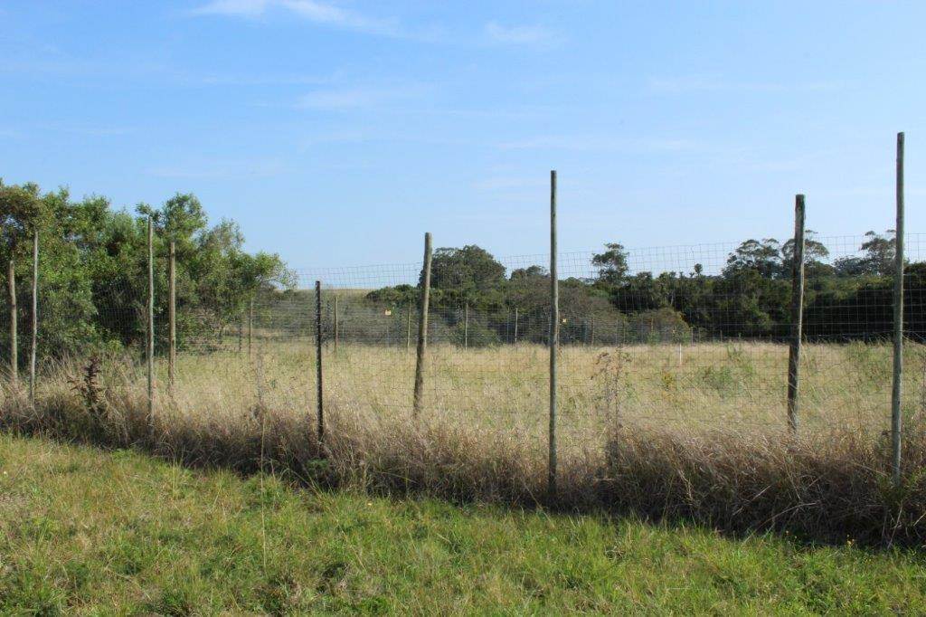 1419 m² Land available in Bathurst and Surrounds photo number 5