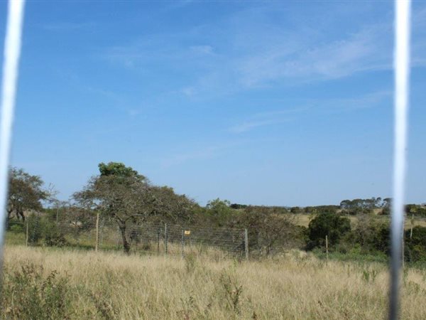 1419 m² Land available in Bathurst and Surrounds