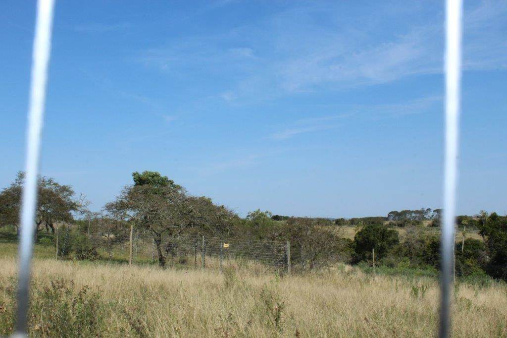 1419 m² Land available in Bathurst and Surrounds photo number 1