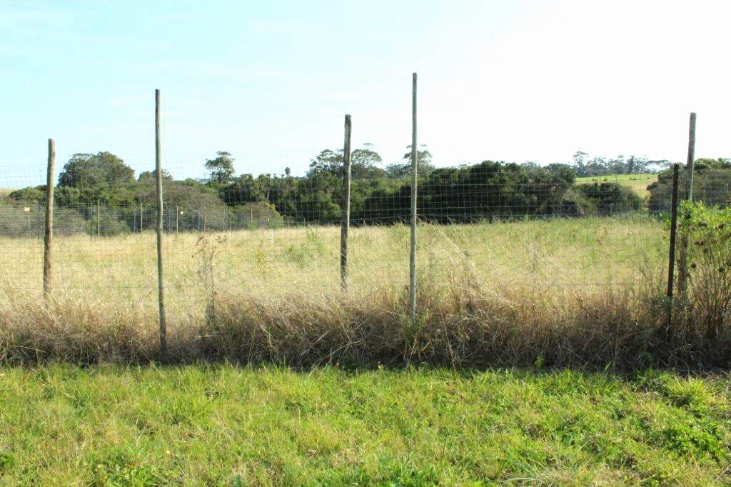 1419 m² Land available in Bathurst and Surrounds photo number 4
