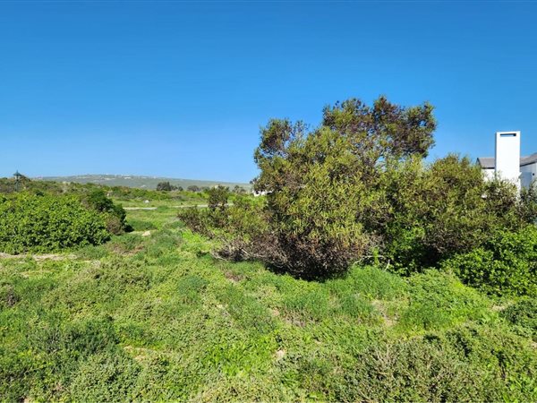 450 m² Land available in Shelley Point