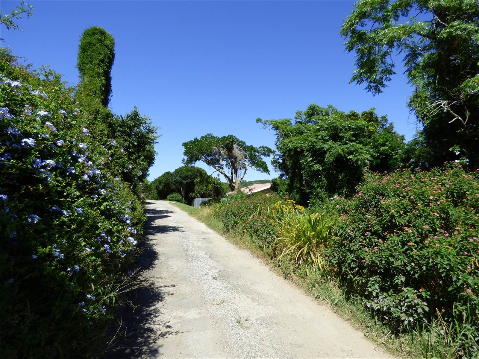 796 m² Land available in Port Alfred photo number 8