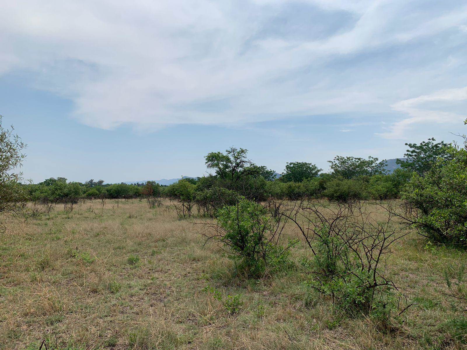 1294 m² Land available in Melodie photo number 7