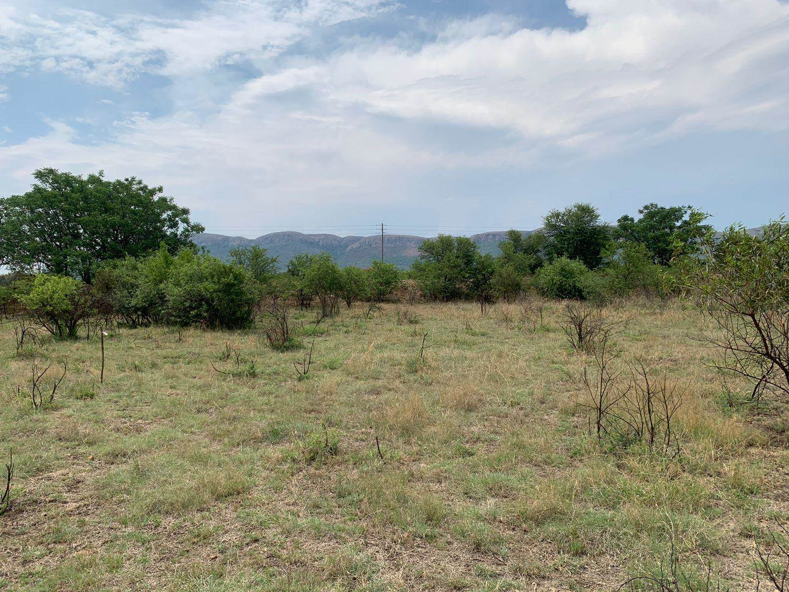 1294 m² Land available in Melodie photo number 8