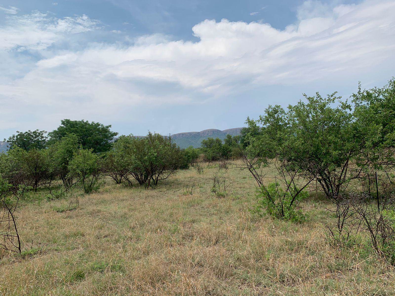 1294 m² Land available in Melodie photo number 3