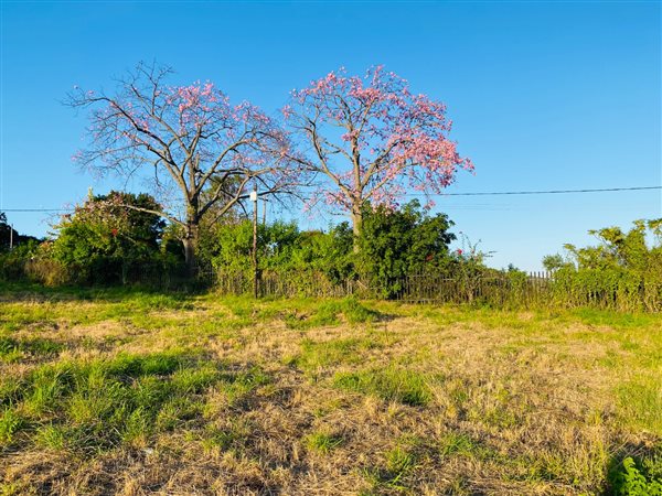 432 m² Land 432 m² Land