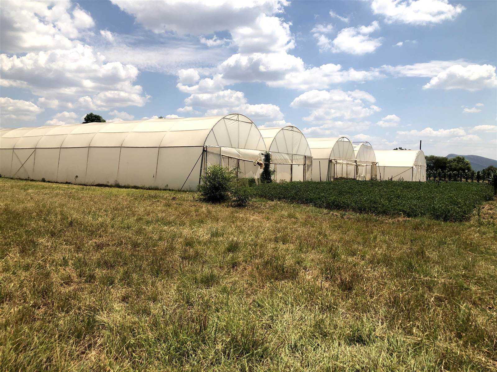 3.1 ha Farm in Rietfontein AH photo number 22