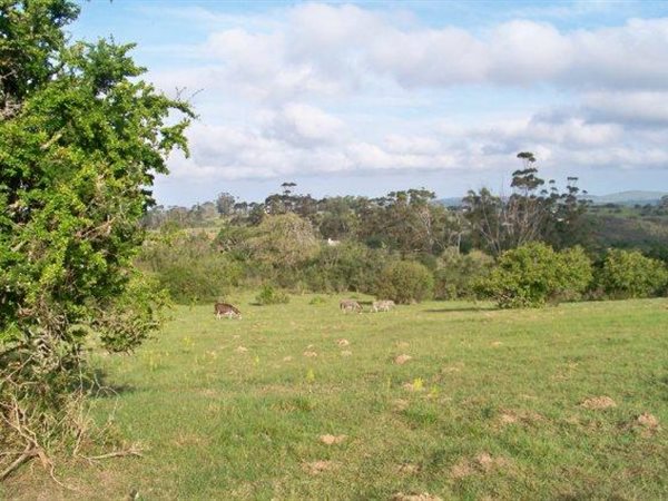 3618 m² Land available in Bathurst and Surrounds