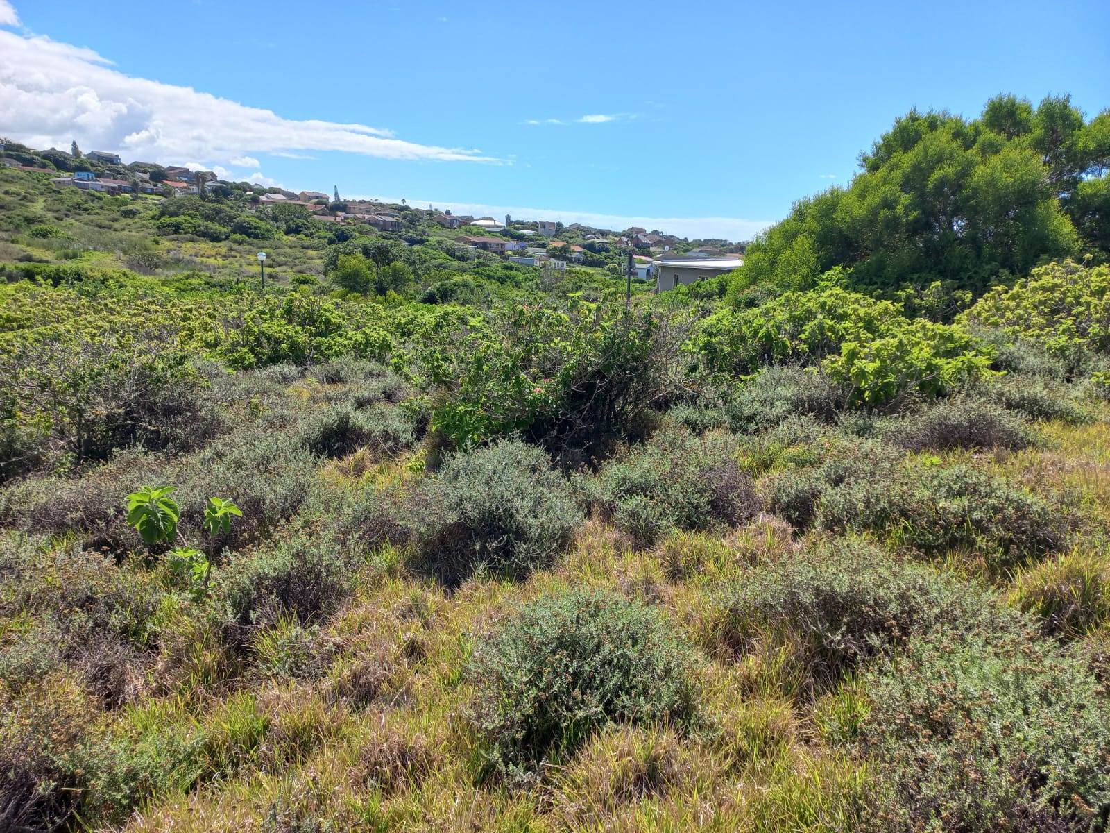 868 m² Land available in Emerald Heights photo number 9