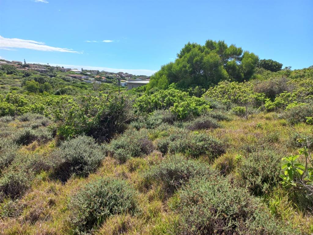 868 m² Land available in Emerald Heights photo number 6