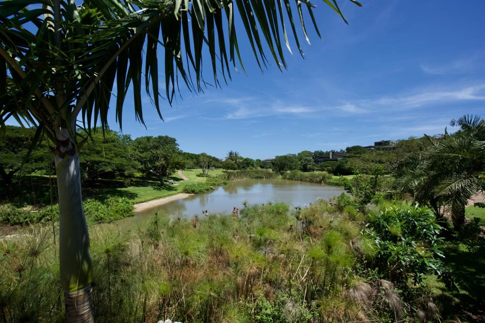 935 m² Land available in Brettenwood Coastal Estate photo number 7