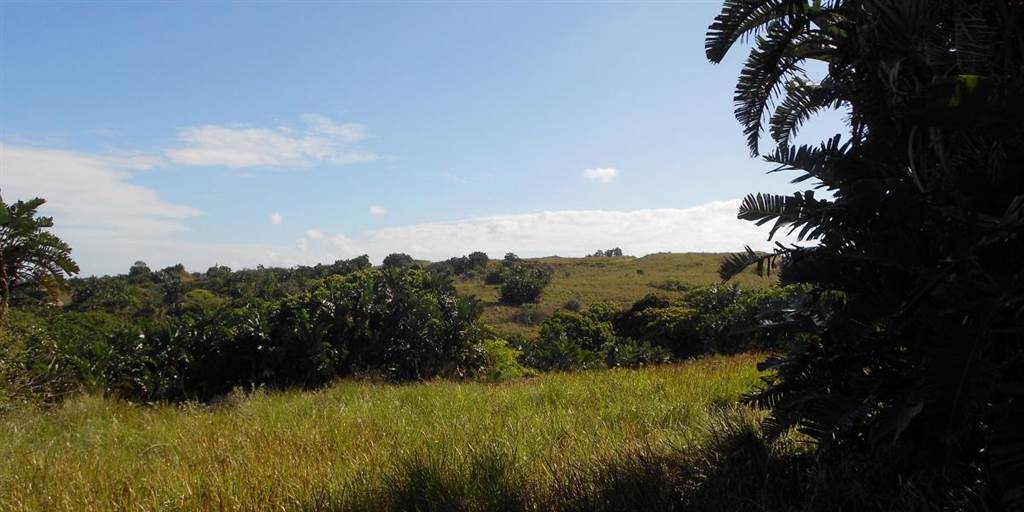 522 m² Land available in Shelly Beach photo number 7