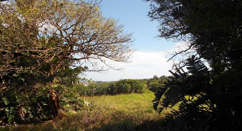 522 m² Land available in Shelly Beach photo number 4