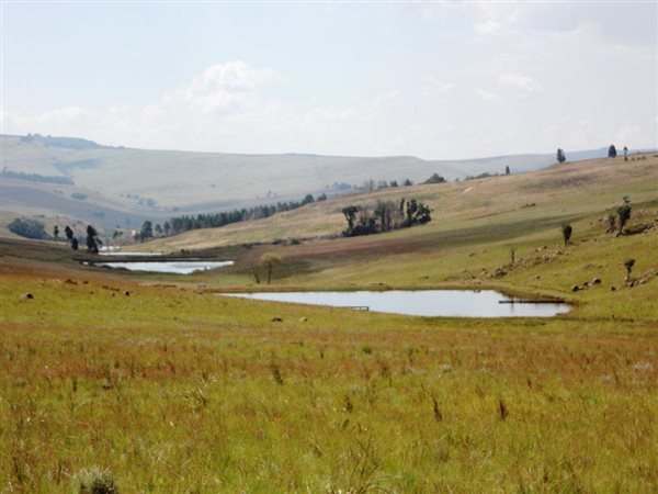 1 ha Land available in Dullstroom