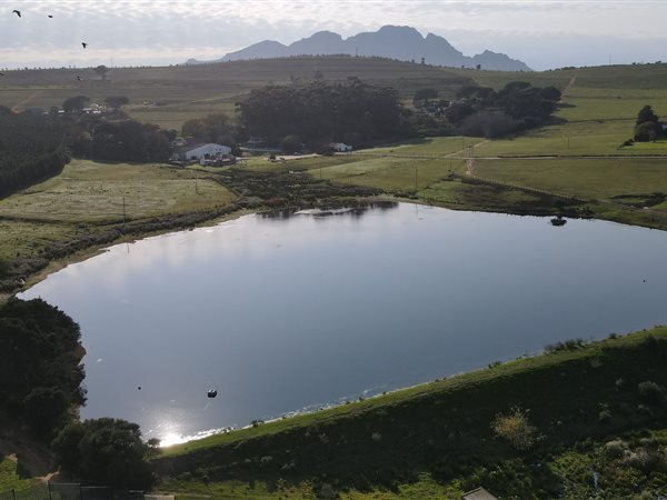 54 ha Farm with House in Stellenbosch Agricultural