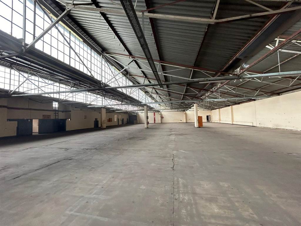 1641  m² Industrial space in Elandsfontein AH photo number 2