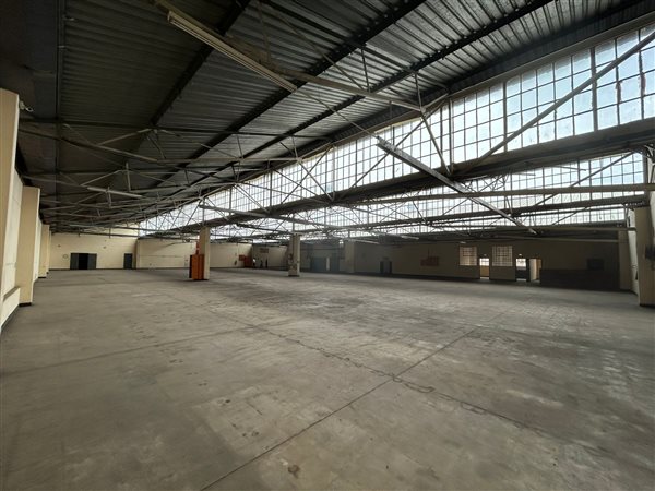 1641  m² Industrial space in Elandsfontein AH