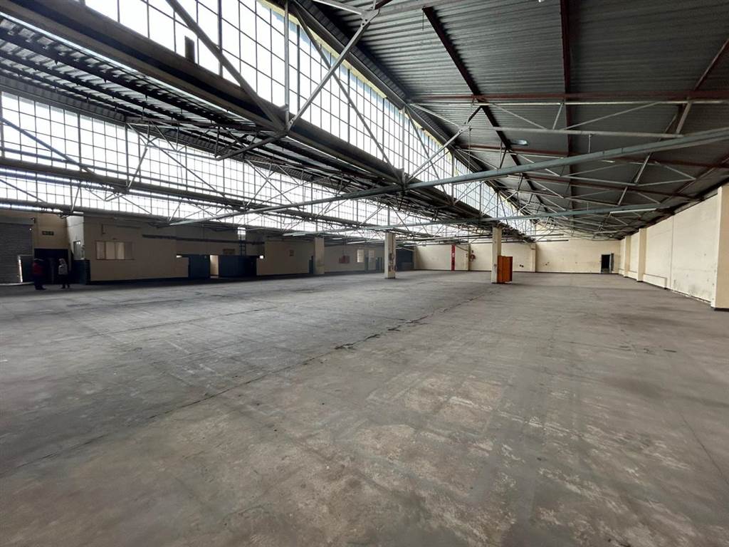 1641  m² Industrial space in Elandsfontein AH photo number 6