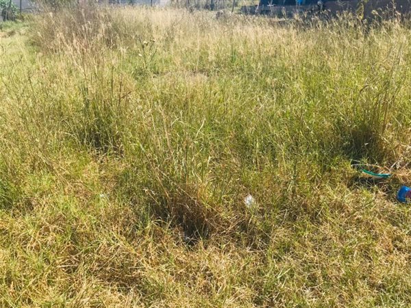 300 m² Land available in Southernwood