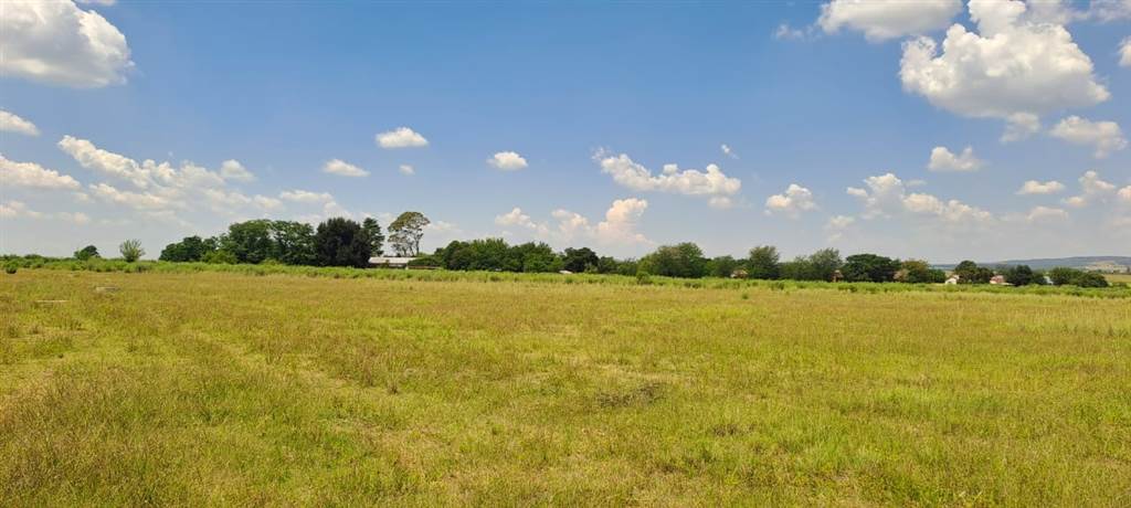 15 ha Land available in Vyfhoek photo number 20