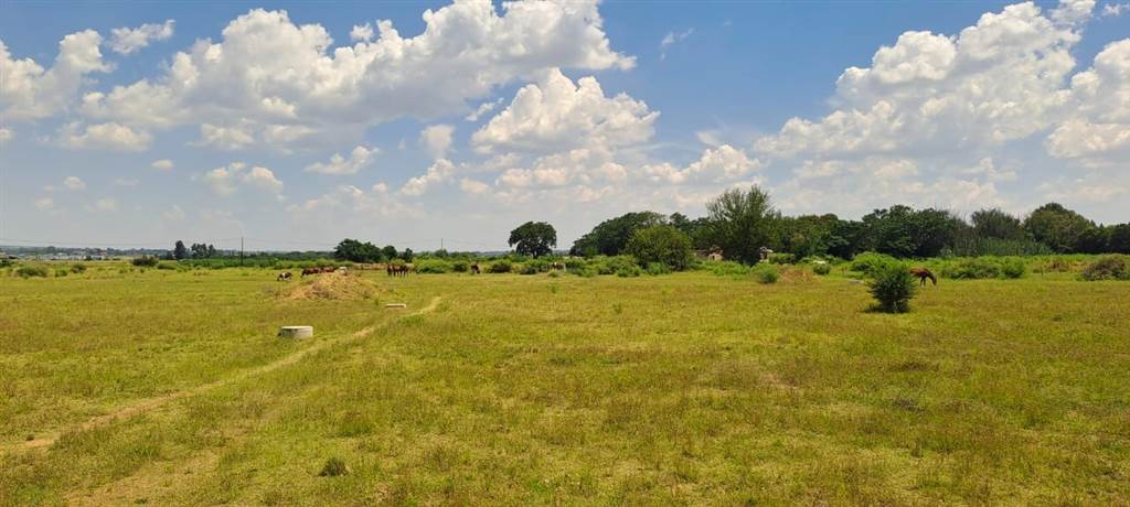 15 ha Land available in Vyfhoek photo number 17