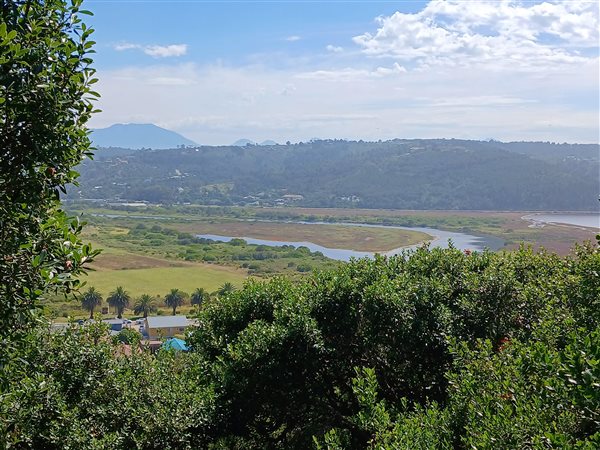 1168 m² Land available in Great Brak River