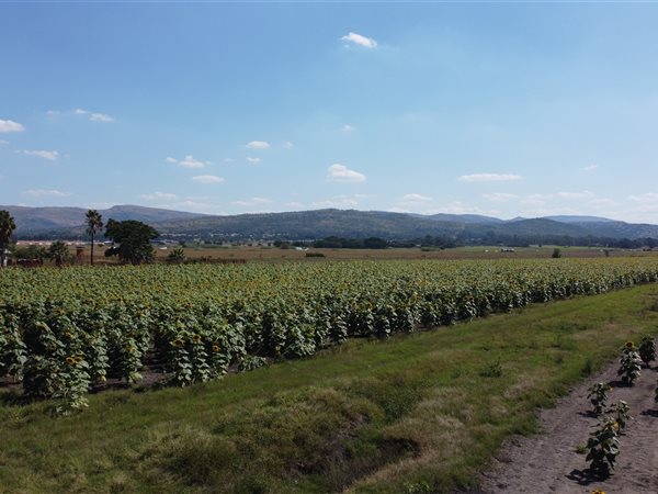 10.3 ha Land available in Waterkloof