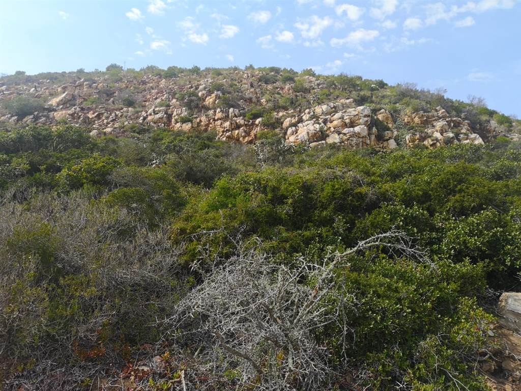 287 m² Land available in Mossel Bay Central photo number 5