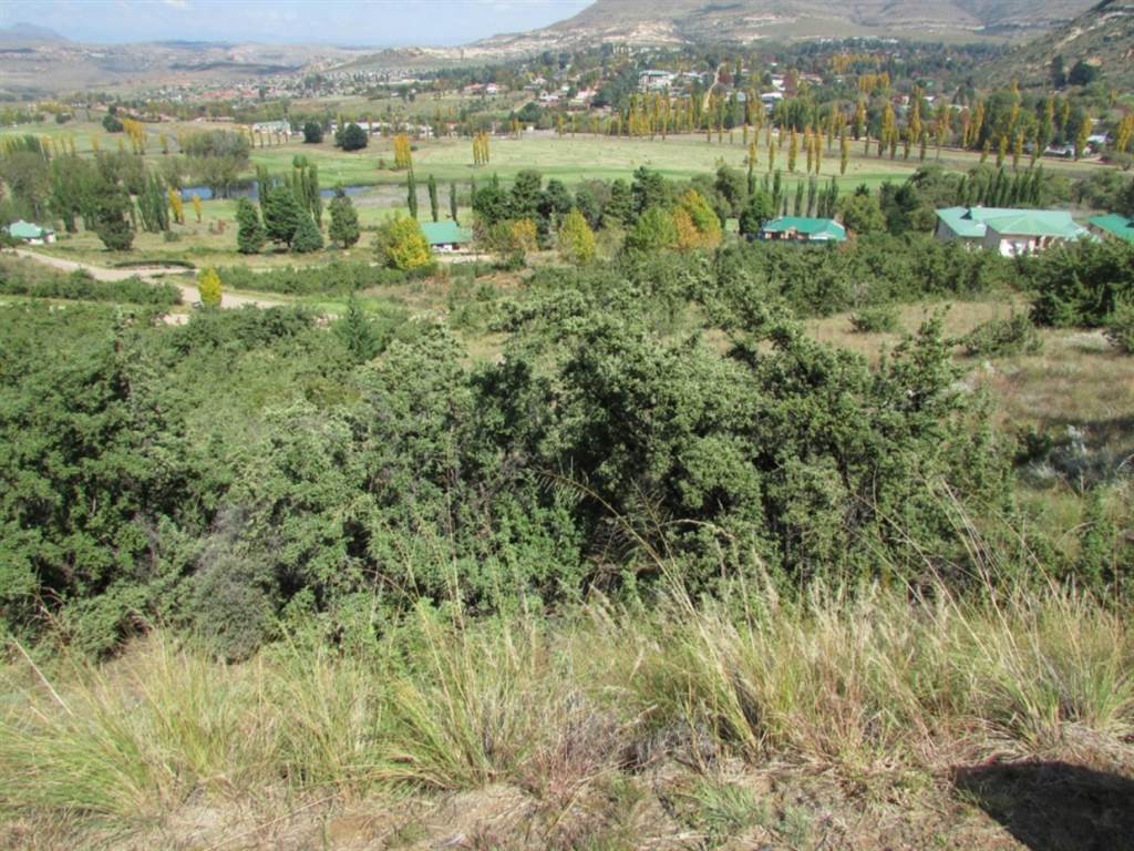 664 m² Land available in Clarens photo number 7