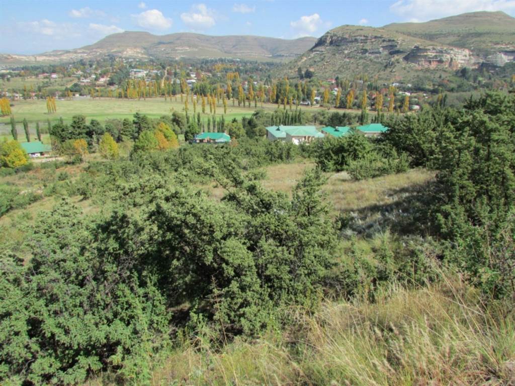664 m² Land available in Clarens photo number 6